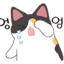 고양이무마취미용 무냥무냥 대구점 이미지