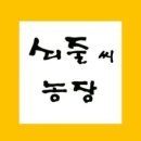 차씨농장