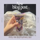 파주종묘농약사 | 올해도 푹푹찌는 여름이 와버렸고 내 필수템은 고드름