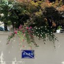 보트르스냅