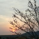 다솜주유소 이미지