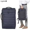 모닝글로리 이미지