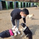 효준농장 이미지