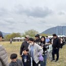 강서 낙동강30리 벚꽃축제(2025년) 이미지