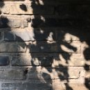 수향정 | 운치있는 상하이 우전 수향마을 서책 홈스테이, 1번 숙박 후기(리버뷰 물가뷰 예약 공항에서 우전가는 법)