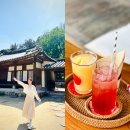 청송실내체육관 | 청송한옥카페 송소고택 백일홍 메뉴 가격 후기 송정고택 포토존까지
