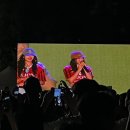 낭만청춘 | 2024 세종대 축제 &lt;청춘낭만&gt; 싸이&amp;크래비티&amp;뉴진스 후기