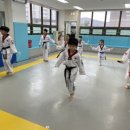 태아일체 라온태권도장 이미지