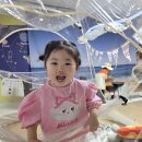 봄놀다
