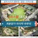 수원-0781 네이버블로그
