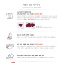 아날도바시니전주