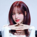 리즈컬러 이미지