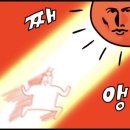 파주고양이 미용실 이미지