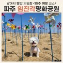 동개울어린이공원 | 파주 여행 임진각평화누리공원 애견 동반 후기 (feat. 벚꽃 명소)