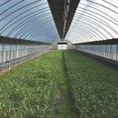 영진농장 이미지