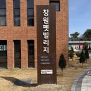 펫빌리지 | 🐾 창원 펫빌리지 후기 | 경남 강아지 놀이터 뛰뛰하기 좋은 곳(무료 운동장)