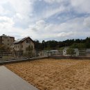 유니바움 이미지