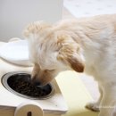 헬시맘마 이미지