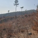 솔미산 뒷동산꽃바위산절골산방축골산왕디산피박골산골논산북산남산팅비산소왕배산퇴봉산깃대봉왕배산이섭봉설봉산뾰죽산말모이산19산 이미지