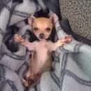 (주)이노셀젠헬스케어 | [17일차] 시장조사 원 모어 타임...