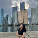 푸른숲안과의원 이미지