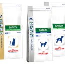 박성준동물병원 이미지