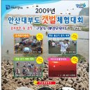 2009 안산대부도 갯벌 체험 대회 이미지