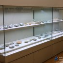 강진10호 이미지