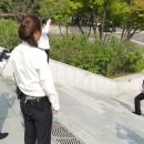 서울고등검찰청