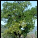 마을산책 이미지