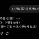 뽀끼&뽀끼 이미지