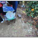 서ㆍ호근동 이미지