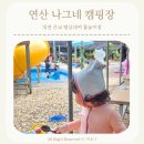 대전 근교 아기랑 평상 물놀이 연산 나그네 캠핑장
