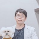 조형선외과동물병원 이미지