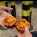 에그하우스 | 홍콩 센트럴 맛집 베이크하우스 에그타르트 후기 위치
