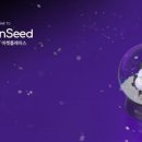 코튼시드