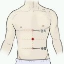 소담재한의원 | 입덧 완화방법, 입덧 한의학적 치료방법