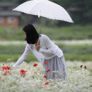 화덕삼 이미지