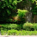 초연한의원 이미지