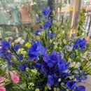 영플라워 | 관저동꽃집에서 기분전환 성공, 영플라워샵 꽃다발 후기