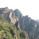 산새도 Daum카페