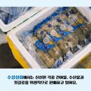 수강상회
