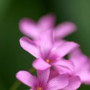 날마다좋은날 이미지