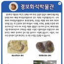 경북과학대학교박물관 이미지