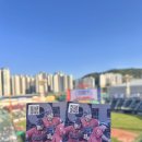 260513 부산 사직 야구장 롯데 자이언츠 VS NC 다이노스 직관 후기