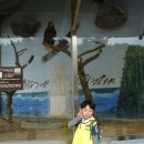 서현태권스쿨 이미지