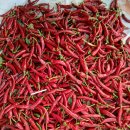 대견농장 이미지