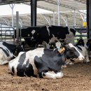 인천반려동물농장 이미지