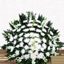 주안영안실 이미지