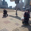 가람로134번길 Daum카페